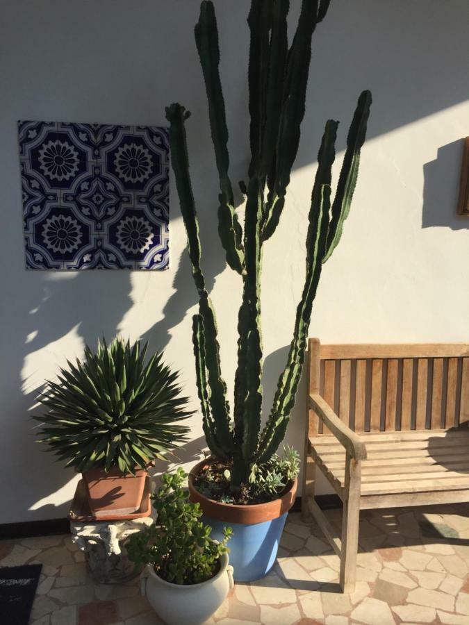 B&B La Villa Mediterranea Passirano Eksteriør bilde